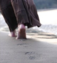 Counseling and Psychotherapy Services for the North Shore and Chicago